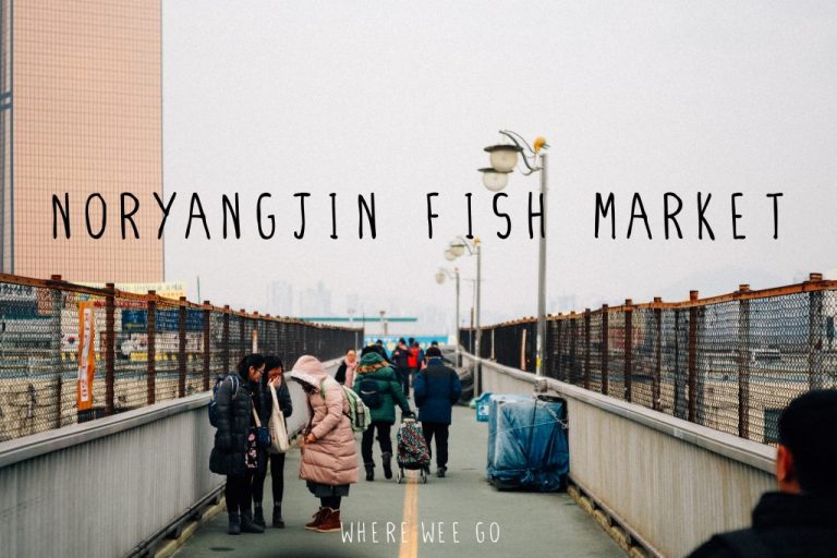 Noryangjin Fish Market ตลาดปลาที่ใหญ่สุดในโซล เรียนเชิญทางนี้เลย